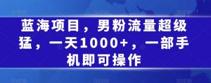 蓝海项目，男粉流量超级猛，一天1000+，一部手机即可操作【揭秘】-阳知网创资源库