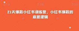 21天爆款小红书训练营，小红书爆款的底层逻辑-阳知网创资源库