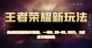 王者荣耀新玩法,卖虚拟国服操作教程,一单6.88-99.99元,0成本无限贩卖【揭秘】-阳知网创资源库