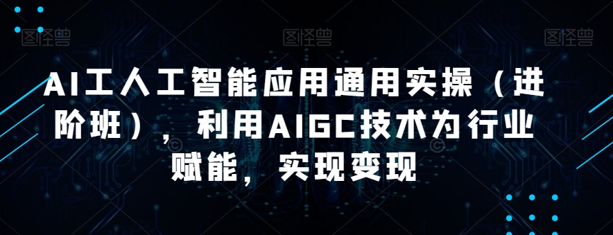 AI工人工智能应用通用实操(进阶班),利用AIGC技术为行业赋能,实现变现-阳知网创资源库