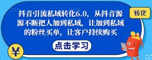抖音引流私域转化6.0,从抖音源源不断把人加到私域,让加到私域的粉丝买单,让客户持续购买-阳知网创资源库
