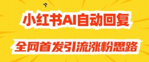 【原创开发】小红书AI自动回复，全网首发引流涨粉思路-阳知网创资源库