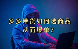 多多视频带货选什么商品链接才能爆单，10分钟教会你，爆单不是浮云【揭秘】-阳知网创资源库