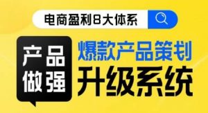 电商盈利8大体系 ·产品做强爆款产品策划系统升级线上课,全盘布局更能实现利润突破-阳知网创资源库
