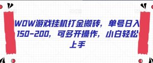 WOW游戏挂机打金搬砖，单号日入150-200，可多开操作，小白轻松上手【揭秘】-阳知网创资源库
