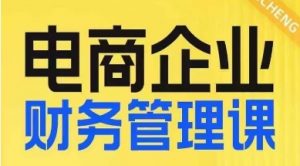 电商企业财务管理线上课，为电商企业规划财税-阳知网创资源库