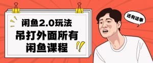 闲鱼2.0玩法单号每天日入2000，吊打市面所有课程-阳知网创资源库