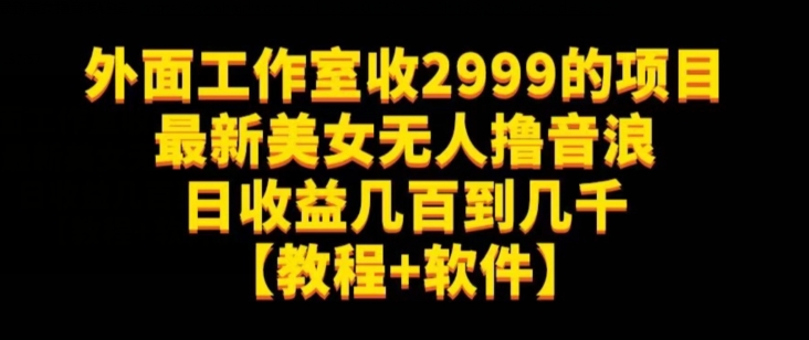 外面工作室收2999的项目最新美女无人撸音浪日收益几百到几千【教程+软件】(仅揭秘)-阳知网创资源库