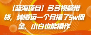 【蓝海项目】多多视频带货,纯搬运一个月搞了5w佣金,小白也能操作【揭秘】-阳知网创资源库