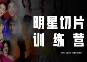 王子·明星切片线上训练营(2023),和明星一起拿红利,让明星为我们赚钱-阳知网创资源库