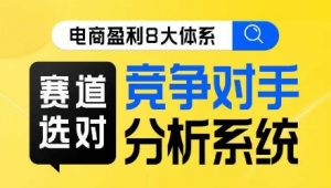 电商盈利8大体系·赛道选对，​竞争对手分析系统线上课-阳知网创资源库