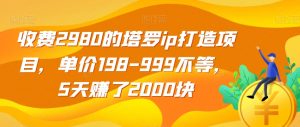 收费2980的塔罗ip打造项目，单价198-999不等，5天赚了2000块【揭秘】-阳知网创资源库