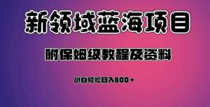 虚拟资源蓝海领域新项目，轻松日入800＋，附保姆级教程及资料-阳知网创资源库