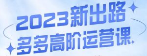 大炮·多多高阶运营课,3大玩法助力打造爆款,实操玩法直接亮出干货-阳知网创资源库