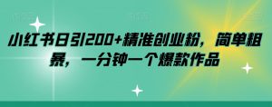 小红书日引200+精准创业粉,简单粗暴,一分钟一个爆款作品【揭秘】-阳知网创资源库