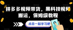 拼多多视频带货,黑科技视频搬运,保姆级教程-阳知网创资源库