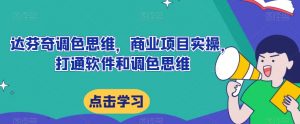 达芬奇调色思维，商业项目实操，打通软件和调色思维-阳知网创资源库