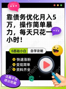 靠债务优化月入五万，每天只要花两个小时，多种方式轻松变现【揭秘】-阳知网创资源库