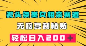 微头条冷门美女相亲赛道，无脑复制粘贴，轻松日入200＋【揭秘】-阳知网创资源库
