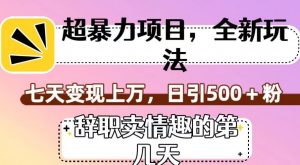 超暴利项目,全新玩法(辞职卖情趣的第几天),七天变现上万,日引500+粉【揭秘】-阳知网创资源库