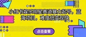 外面收费2980的视频号流量主项目,作品制作简单无脑,单账号日入过千-阳知网创资源库