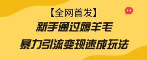 【全网首发】新手通过薅羊毛暴力引流变现速成玩法-阳知网创资源库