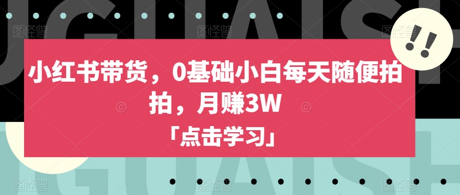小红书带货,0基础小白每天随便拍拍,月赚3W【揭秘】-阳知网创资源库