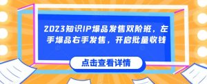 2023知识IP爆品发售双阶班,左手爆品右手发售,开启批量收钱-阳知网创资源库