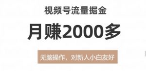 视频号流量掘金，无脑操作，对新人小白友好，月赚2000多【揭秘】-阳知网创资源库