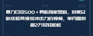 暴力日引500+男粉独家思路,将美女做成极具视觉冲击力的视频,单月盈利超2万轻轻松松-阳知网创资源库