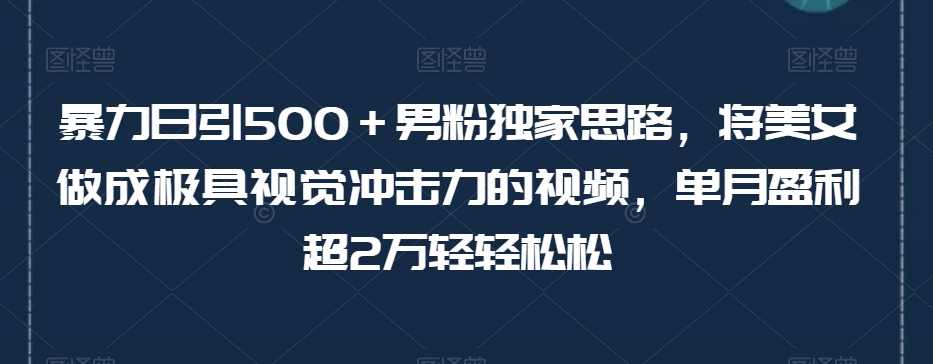 暴力日引500+男粉独家思路,将美女做成极具视觉冲击力的视频,单月盈利超2万轻轻松松-阳知网创资源库