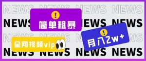 简单粗暴零成本,高回报,全网视频VIP掘金项目,月入2万+【揭秘】-阳知网创资源库