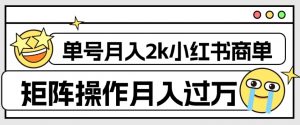 外面收费1980的小红书商单保姆级教程,单号月入2k,矩阵操作轻松月入过万-阳知网创资源库