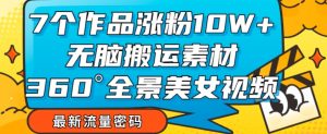 7个作品涨粉10W+，无脑搬运素材，全景美女视频爆款玩法分享【揭秘】-阳知网创资源库