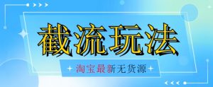 首发价值2980最新淘宝无货源不开车自然流超低成本截流玩法日入300+【揭秘】-阳知网创资源库