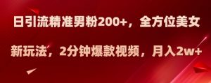 日引流精准男粉200+，全方位美女新玩法，2分钟爆款视频，月入2w+【揭秘】-阳知网创资源库