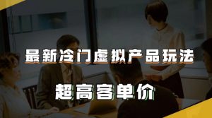 最新冷门虚拟产品玩法,超高客单价,月入2-3万+【揭秘】-阳知网创资源库