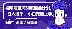 视频号蓝海领域掘金计划，日入过千，小白无脑上手【揭秘】-阳知网创资源库