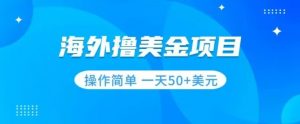 撸美金项目无门槛操作简单小白一天50+美刀-阳知网创资源库