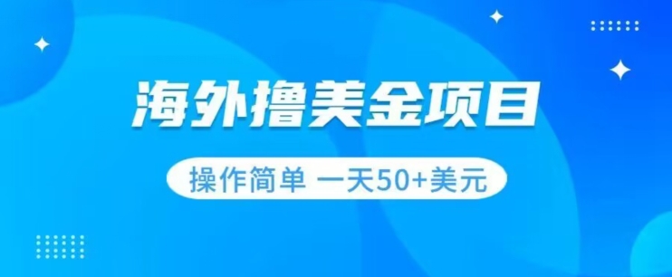 撸美金项目无门槛操作简单小白一天50+美刀-阳知网创资源库