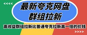 最新夸克网盘群组拉新,高收益群组拉新比普通夸克拉新高一倍的价钱-阳知网创资源库