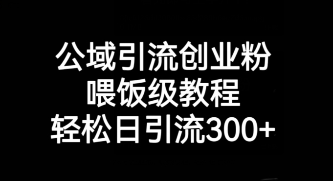公域引流创业粉，喂饭级教程，轻松日引流300+【揭秘】-阳知网创资源库