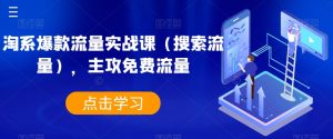 淘系爆款流量实战课（搜索流量），主攻免费流量-阳知网创资源库
