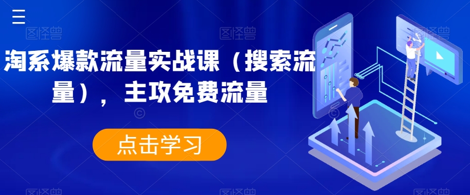 淘系爆款流量实战课（搜索流量），主攻免费流量-阳知网创资源库