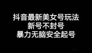 抖音最新美女号玩法,新号不封号,暴力无脑安全起号【揭秘】-阳知网创资源库