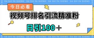视频号引流精准粉，日引100+，流量爆炸【揭秘】-阳知网创资源库
