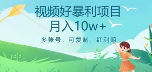 视频号暴利项目，多账号，可复制，红利期，月入10w+【揭秘】-阳知网创资源库