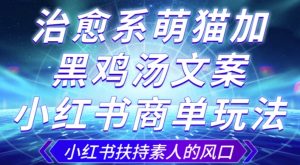 治愈系萌猫加+黑鸡汤文案,小红书商单玩法,3~10天涨到1000粉,一单200左右-阳知网创资源库