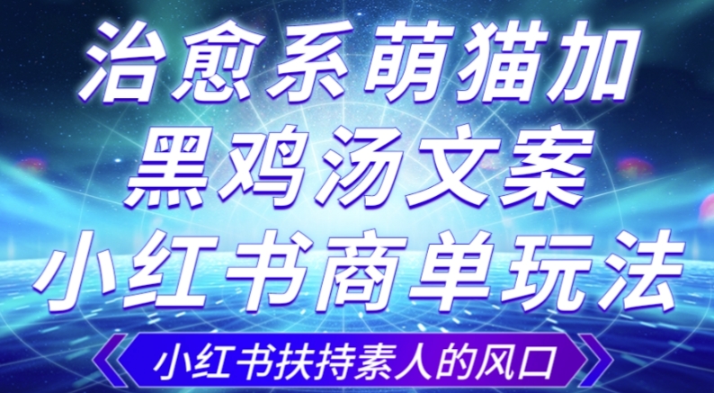 治愈系萌猫加+黑鸡汤文案,小红书商单玩法,3~10天涨到1000粉,一单200左右-阳知网创资源库