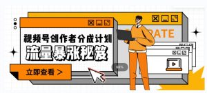 一条视频收益3000+，一条作品涨粉2000+，视频号流量爆炸·的秘籍-阳知网创资源库